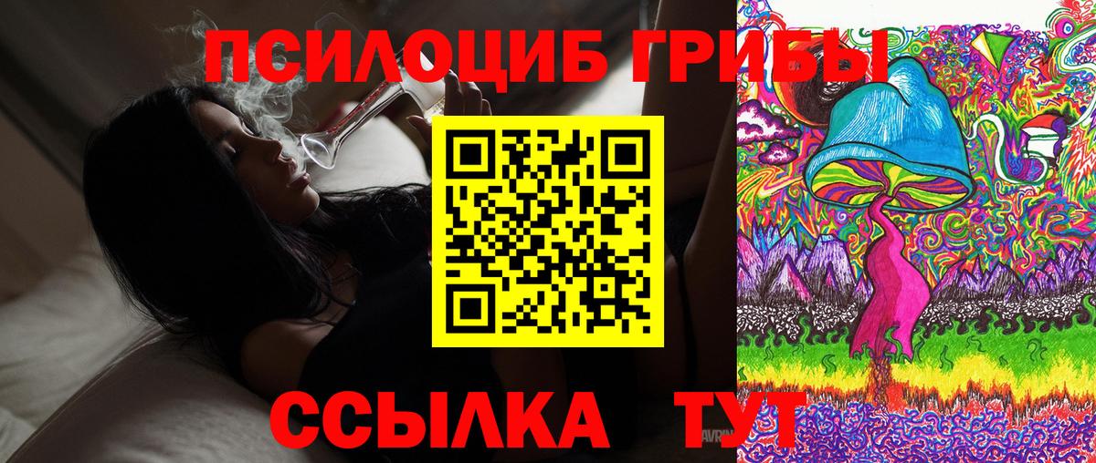 Нижний Новгород  Галлюциногенные грибы мухоморы  где купить наркоту  Вход с VPN 