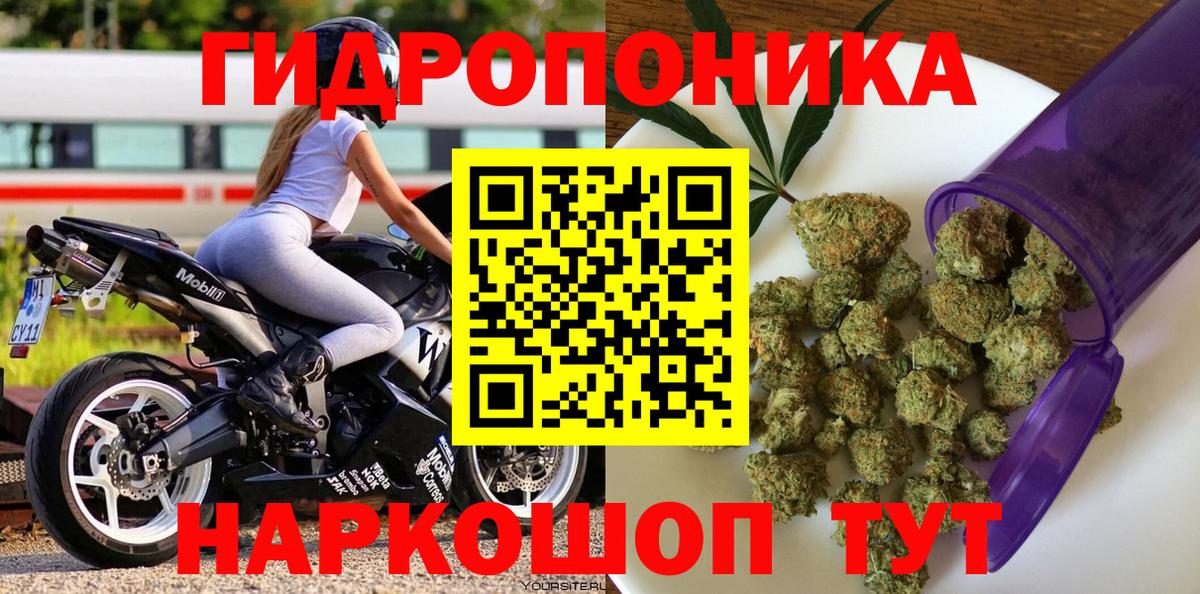Шишки марихуана планчик  Шишки марихуана VHQ  Марихуана Bruce Banner  Каннабис AK-47  Вход с VPN  Нижний Новгород 